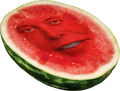 melon-musk