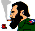 fidel-si