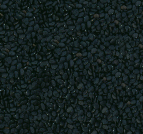 Black Tepary Beanis