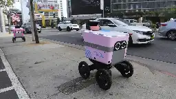 Stop Robbing The Little Delivery Robots