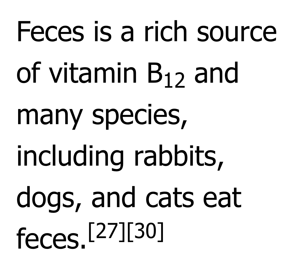 “Feces is a rich source of vitamin B12 and many species, including rabbits, dogs, and cats eat feces.[27][30]”