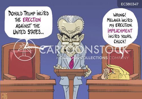 “Donald Trump incited the ERECTION against the United States...” “Wrong! Melania incited my erection. IMPEACHMENT incited yours, Chuck!”