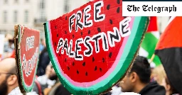 Russia and China ‘manipulating UK public opinion by promoting pro-Palestinian influencers’