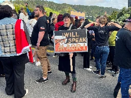 New Zealand moves to abolish Maori health authority despite protests