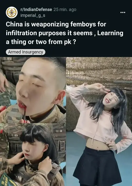 China has begun building the People's Femboy Army