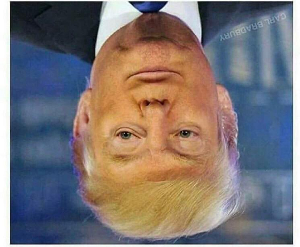 Tronald Dump