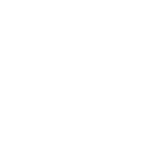 pedestrian