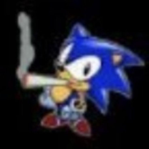 funny image of sonic smoking weed (pic unrelated, i do not smoke weed. hello, person reading alt texts!)