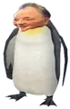 denguin