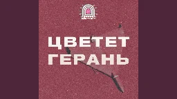 Цветет герань