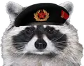 comrade-raccoon