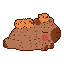 citrussy_capybara