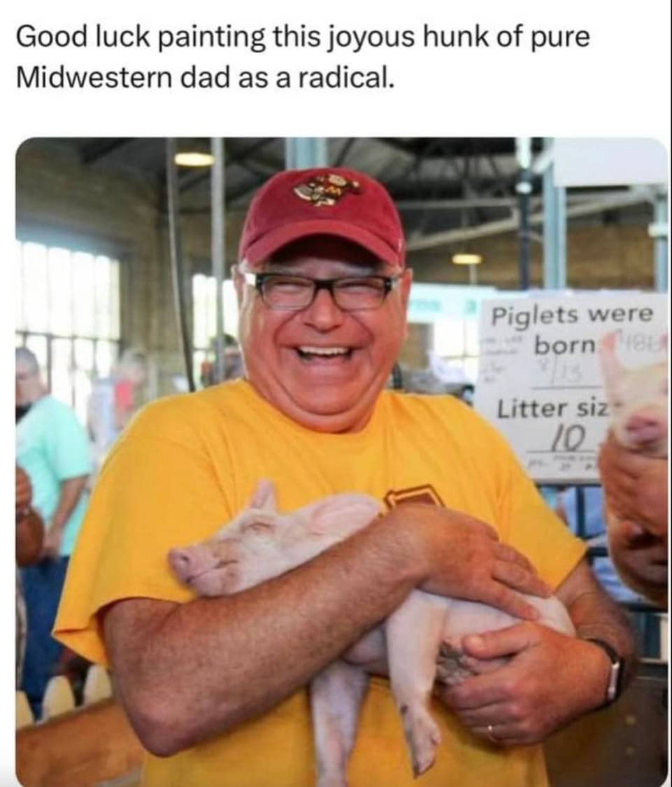 Photo of Tim Walz holding a piglet and smiling. Tim Walz is an older white man wearing glasses. He has a big smile. The piglet appears to be asleep. Walz is wearing a Minnesota Gophers baseball cap. 