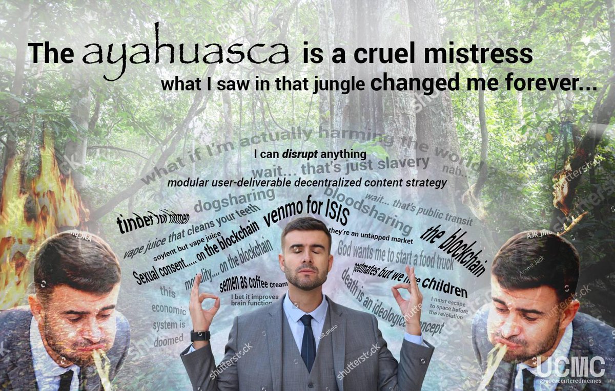 "the ayahuasca is a cruel mistress - what i saw in that jungle changed me forever" text-heavy meme, sorry i'm not transcribing the whole thing