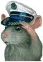 rat-salute-2