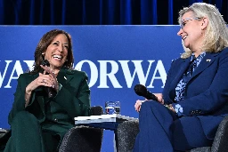 Muslim Americans say Kamala Harris embracing Liz Cheney cost her election