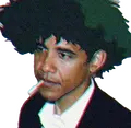 obama-spike