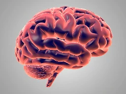 Brain power: Swiss startup powers computers with mini human brains