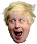 bojo