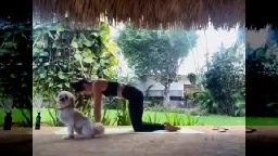 Morning yoga interrupted by unexpected visitor (video) - ItemFix