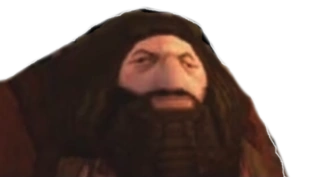 harry potter is cringe but i still think :ps1-hagrid: would be a good emoji