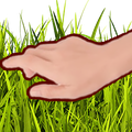 touch-grass