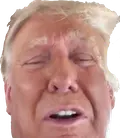 trump-anguish