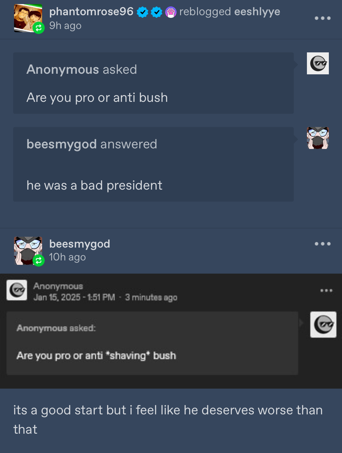 A tumblr screenshot.
phantomrose96 reblogged a post by Beesmygod containing an anonymous ask that they received:
Anonymous asked: Are you pro or anti bush?
Beesmygod answered: he was a bad president.

Beesmygod adds in a reblog the follow up ask by presumably the same anonymous asker:
Anonymous asked: Are you pro or anti *shaving* bush?
And in the reblog Beesmygod states: its a good start but i feel like he deserves worse than that