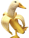 banana-duck-peeled