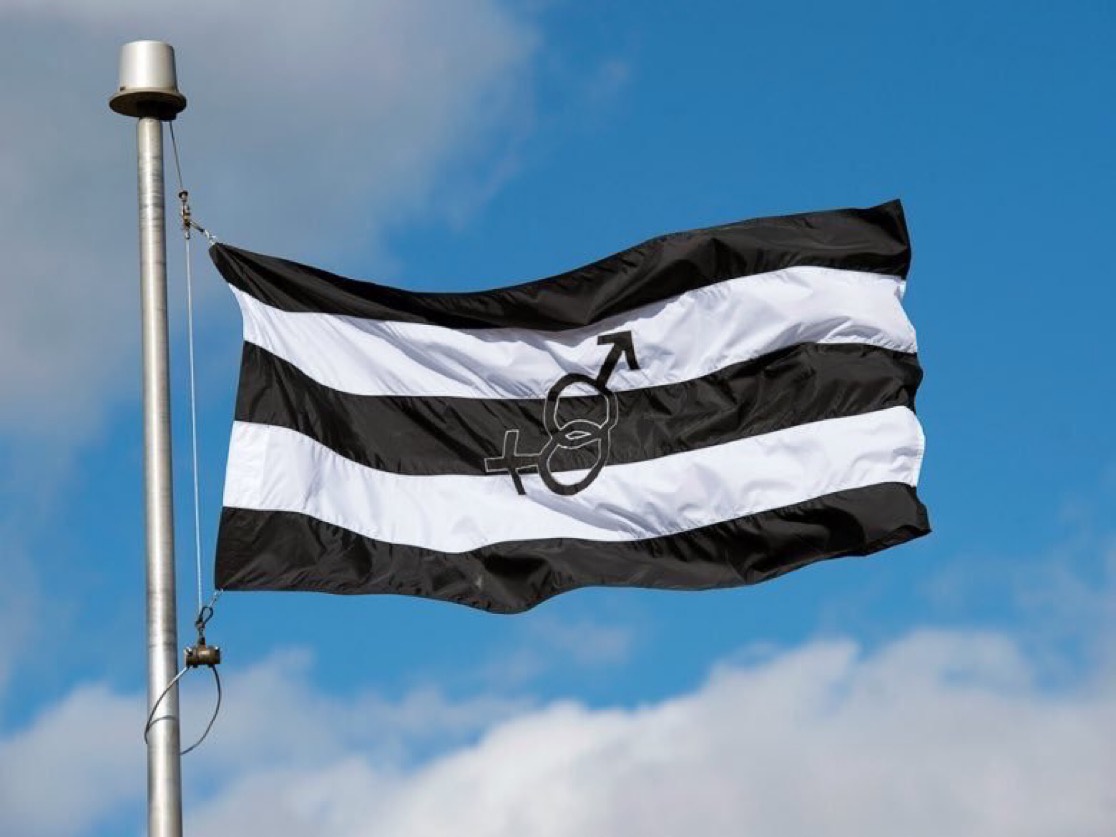 This is apparently the "straight pride" flag being flown by threes and fours of chuds. Robble robble.