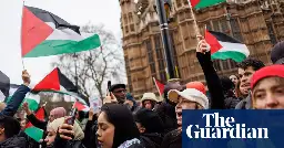 UK ministers consider ban on MPs engaging with pro-Palestine and climate protesters