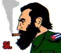 fidel-si