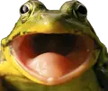 FrogPog