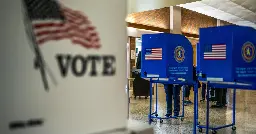 There Was Nothing Democratic About the 2024 Election - Left Voice