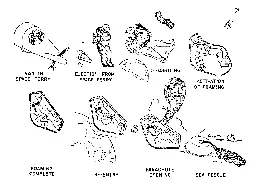 MOOSE - Wikipedia