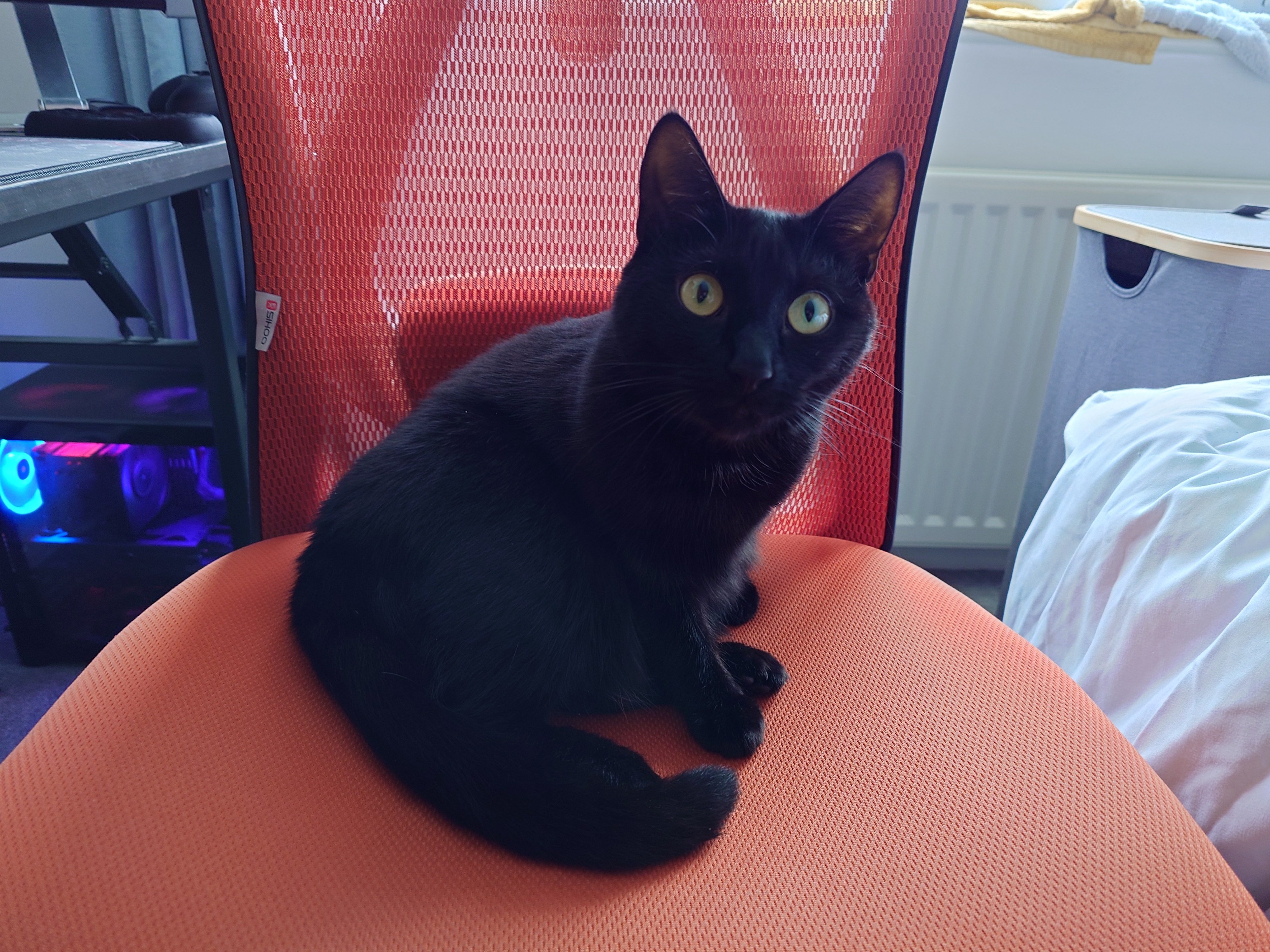 She waited for me to go sit down before taking my chair