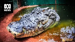 Cassius, the world's largest crocodile in captivity, dies