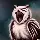 NoisyOwl