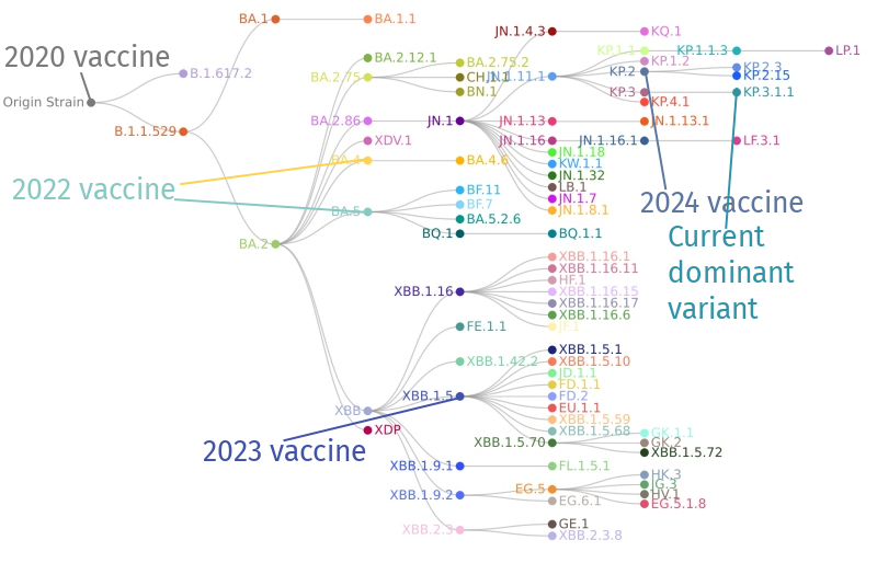 COVID variants, dominant variant, and vaccine variants visualization