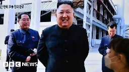 TikTok loves North Korea's latest propaganda bop. Why?