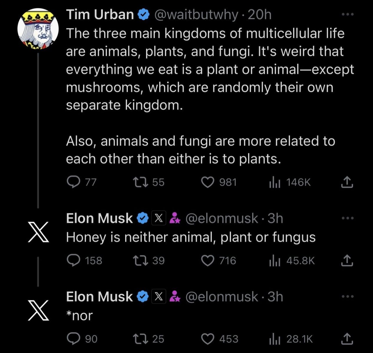 Brain Genius, Elon Musk