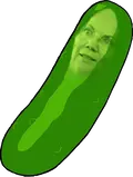 pickle-liz