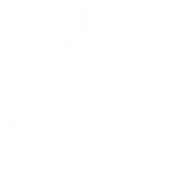 anarchy-a-white