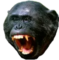 monke-rage