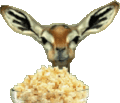 anternlope-popcorn