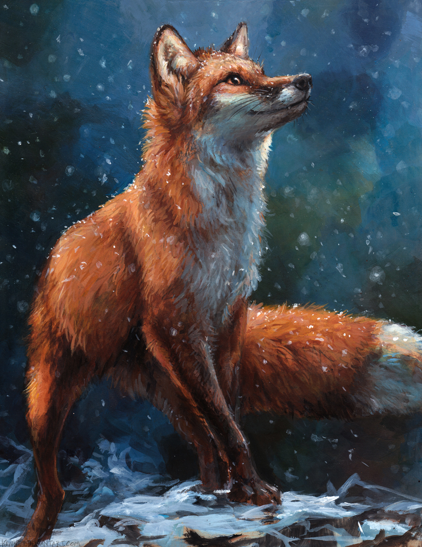 fox in the snow