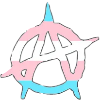 anarchy-trans