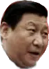 xi-pog