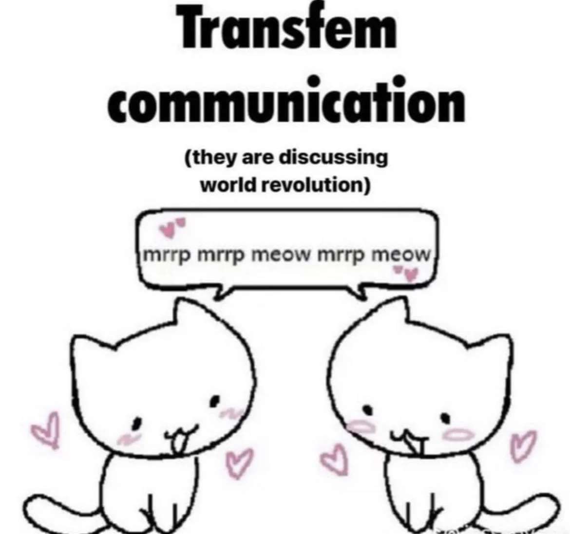 ⚠️ ⚠️ ⚠️ GROUP MEOWING STARTS IN 10 MINUTES ⚠️ ⚠️ ⚠️