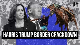 Kamala Wants to Out-Trump Trump at US-Mexico Border